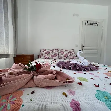 Homekemer A *